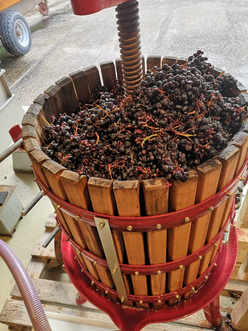 Evidence 2022 Syrah - AOC Ventoux Rouge HVE