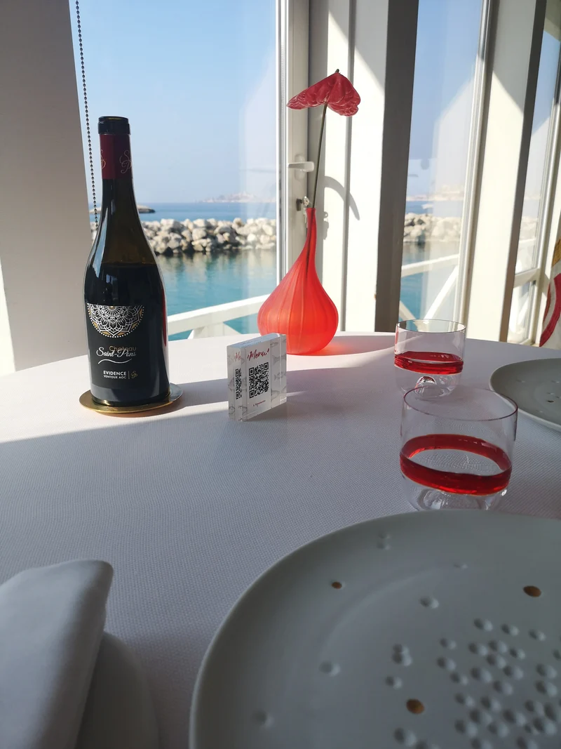 Evidence 2022 Syrah - AOC Ventoux Rouge HVE