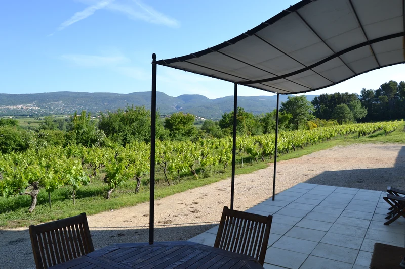 Gîte au Cœur des Vignes