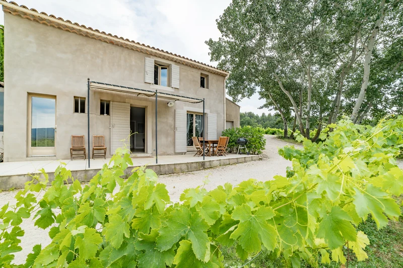 Gîte au Cœur des Vignes