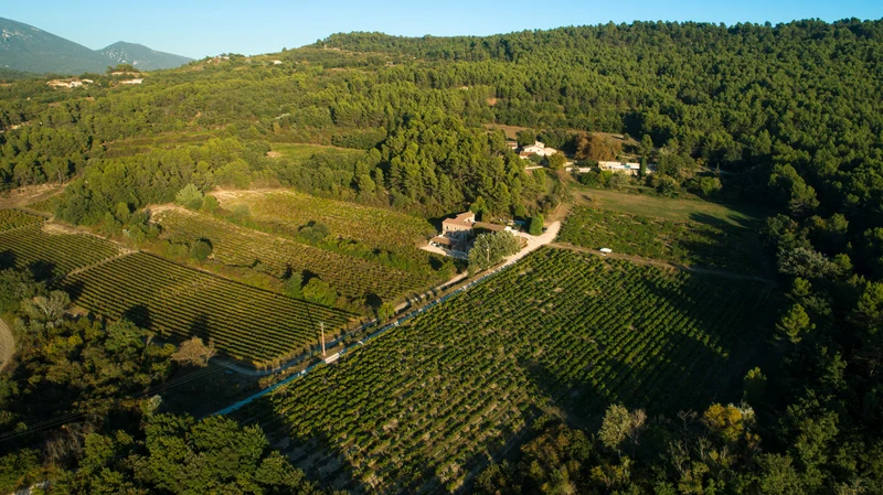 Ballade Bucolique et Artistique dans les Vignes - Sentier Vigneron