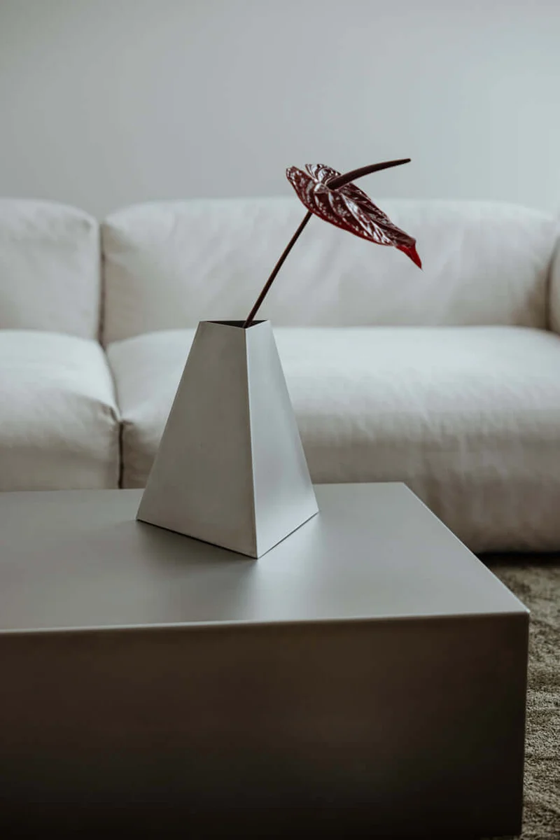 VASE RAW V
