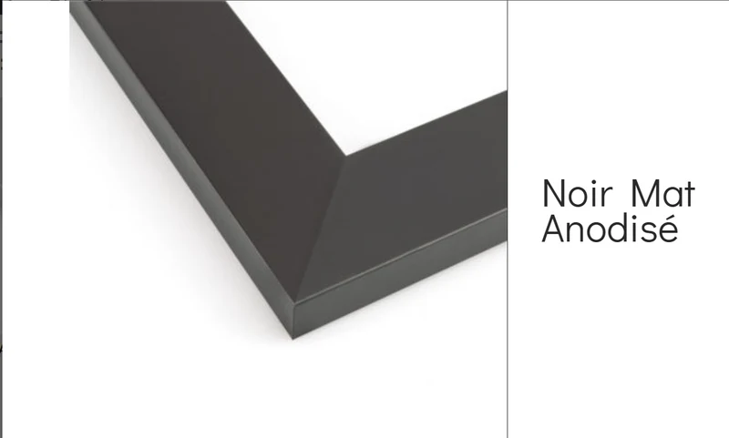 Porte à cadre aluminium avec verre trempée