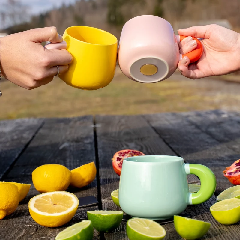 Magnet-Henkel-Potts SUMMERSORBET