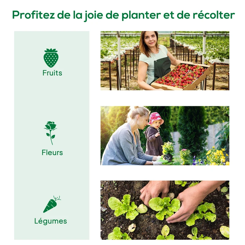 Mini serre tunnel pour tomates 200 x 80 x 45 cm ventilation optimale bâche renforcée compacte moderne en acier vert 21_0004278