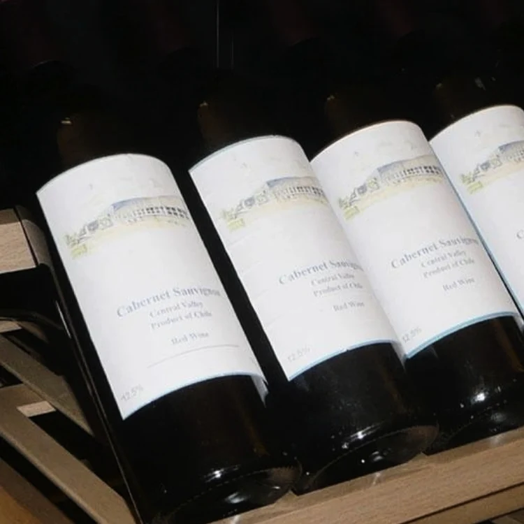 Cave à Vin 45 Bouteilles