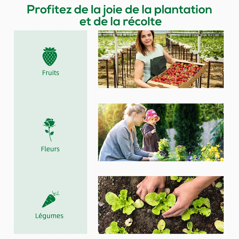 Serre de jardin 200 x 76 x 168 cm 2 fenêtres avec moustiquaires protection contre le froid moderne en polyéthylène blanc 21_0004069
