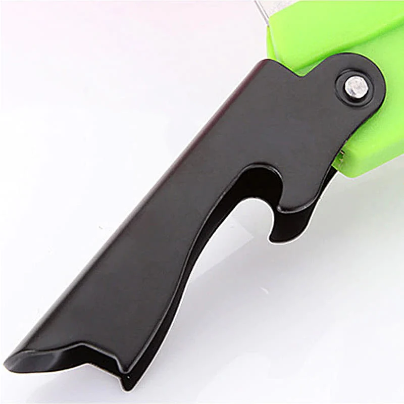 Limonadier Bistrot Flashy