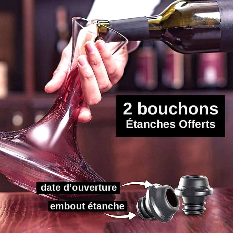 Pompe À Vin Bully