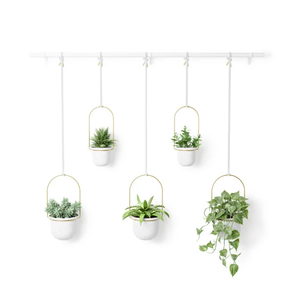 Jardinière d'intérieur suspendue - Triflora