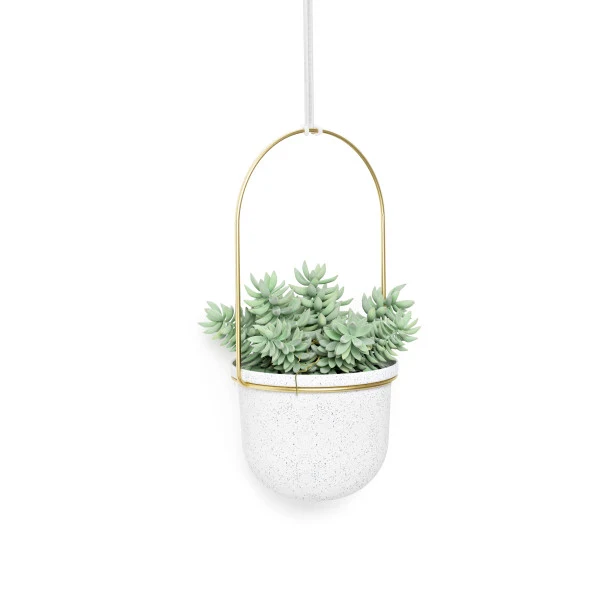 Jardinière d'intérieur suspendue - Triflora