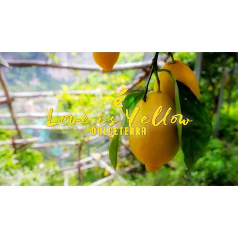 Dolceterra Limoncello of Sorrento Jar and n° 4 Handmade glasses