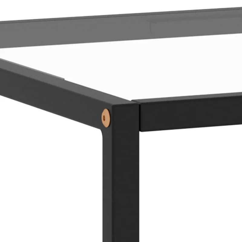 Table basse design simple avec verre trempé et acier noir 100 x 50 x 35 cm DEC039883