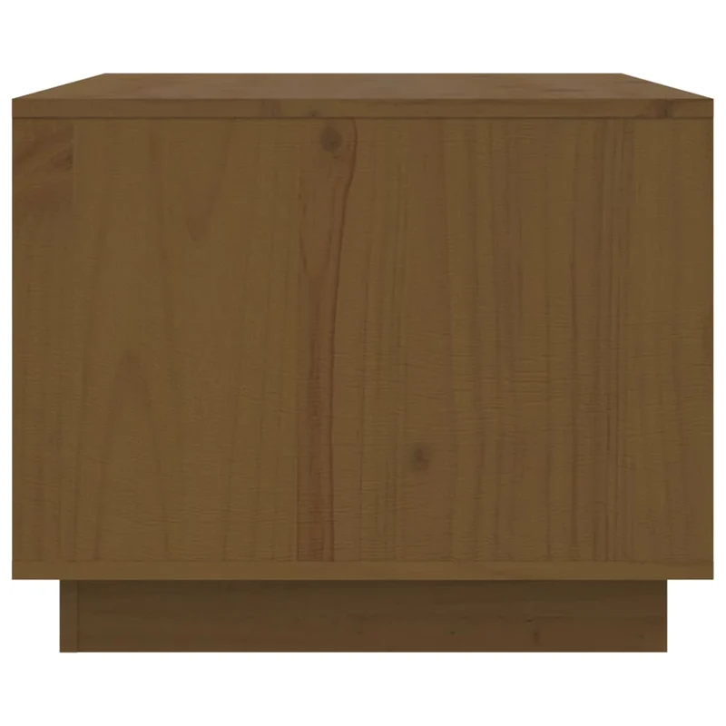 Table basse avec 2 compartiments design moderne 80 x 50 x 40 cm bois massif de pin marron DEC039499