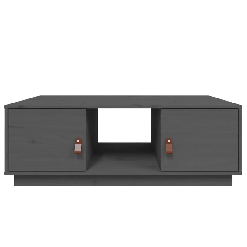 Table basse avec espace de rangement design rustique moderne 100 x 50 x 35 cm bois massif de pin gris DEC039150