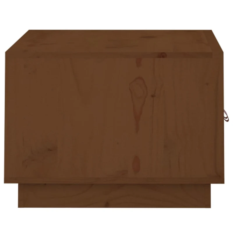 Table basse avec compartiments avec porte design rustique moderne 80 x 50 x 35 cm bois massif de pin marron DEC039495