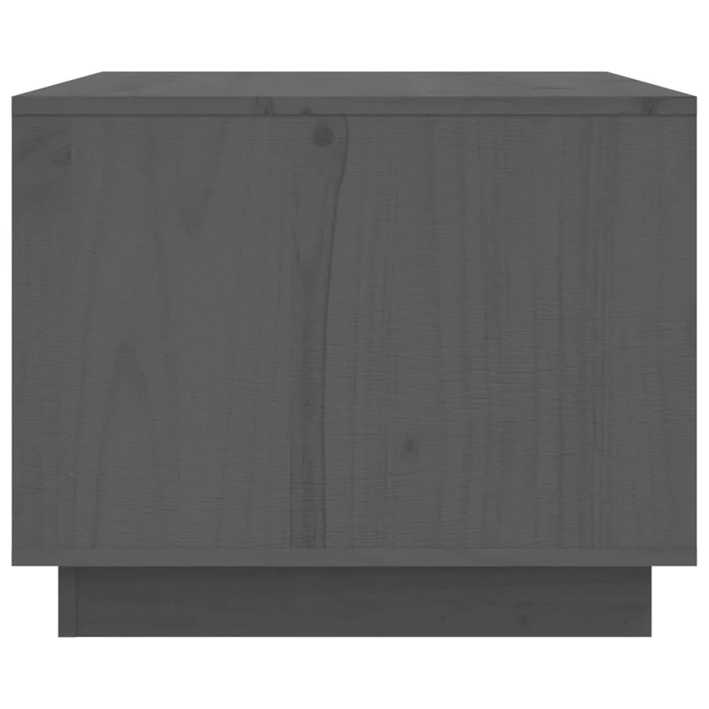Table basse avec 2 compartiments design rustique 80 x 50 x 40 cm bois massif de pin gris DEC039203