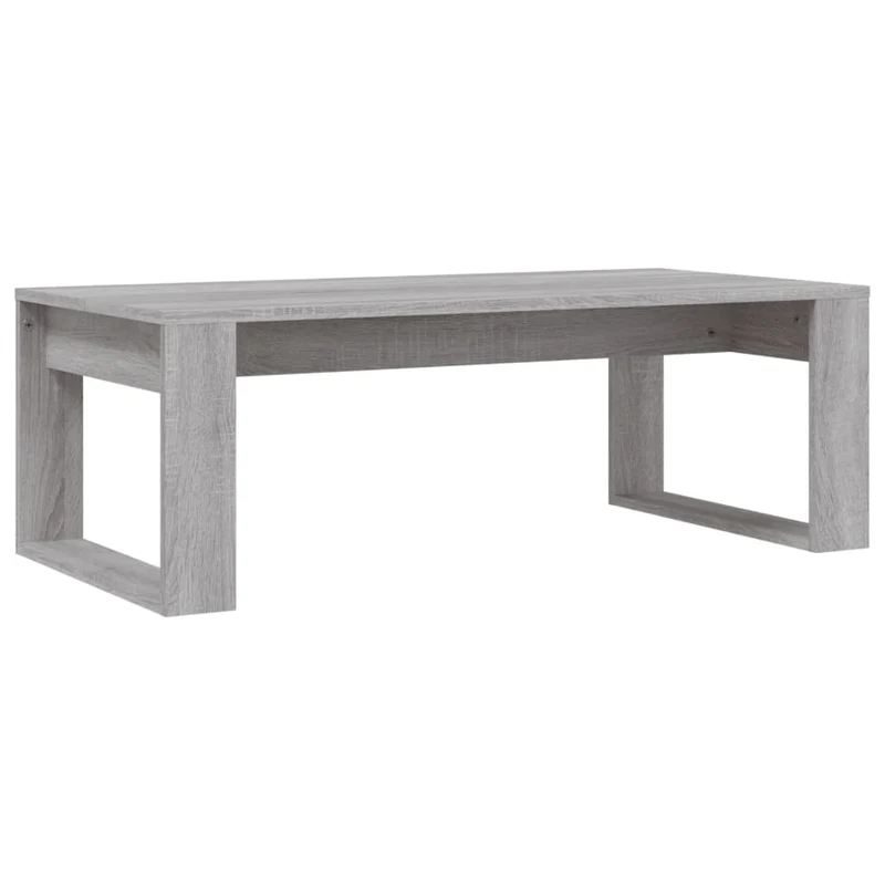 Table basse moderne minimaliste 102 x 50 x 35 cm bois d'ingénierie gris DEC039975