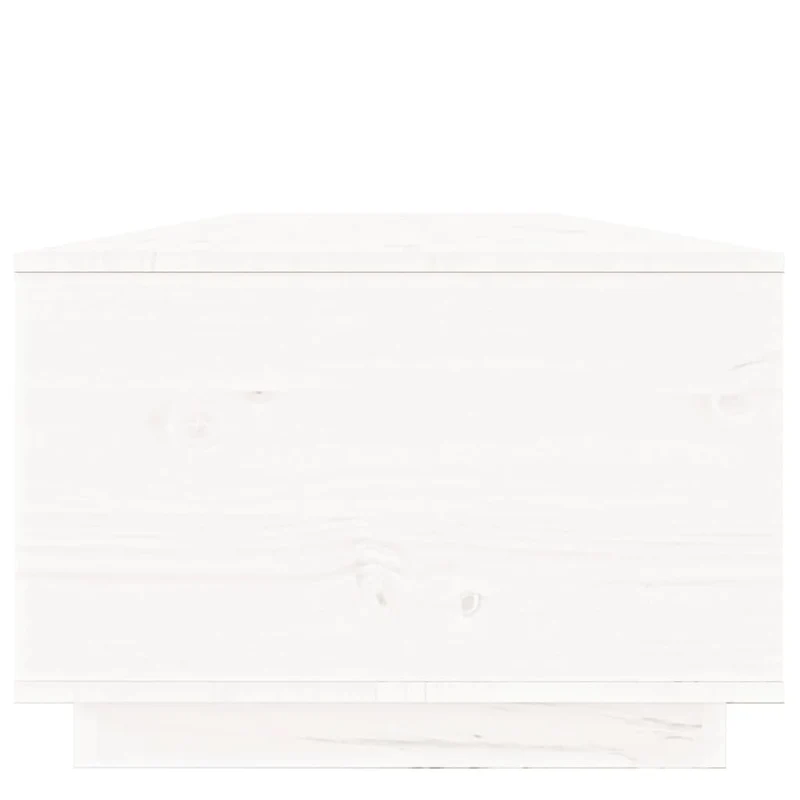 Table basse de salon avec compartiment de rangement design moderne 100 x 50 x 35 cm bois de pin blanc DEC037783