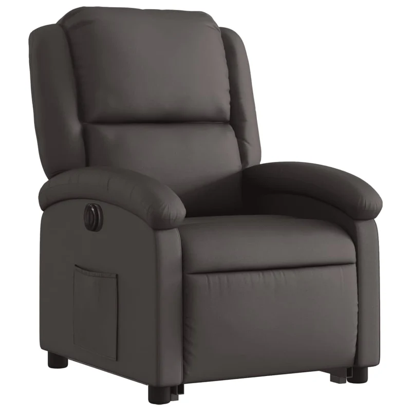 Fauteuil relax TV fonction de levage électrique très confortable en cuir véritable marron DEC028396