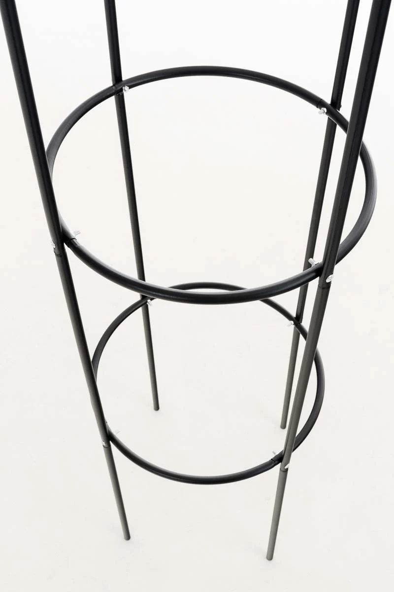 Tuteur de jardin support pour plantes grimpantes décoration de jardin 200x38 cm métal noir 10_0003960