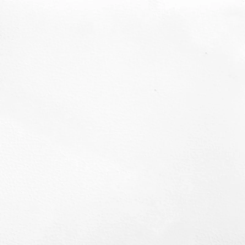 Sommier à lattes sur pieds cadre de lit 200x200 cm synthétique blanc TDL0207358