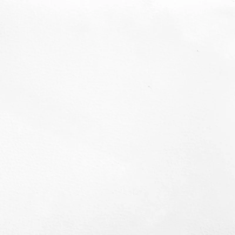 Sommier à lattes sur pieds cadre de lit 160x200 cm synthétique blanc TDL0207361